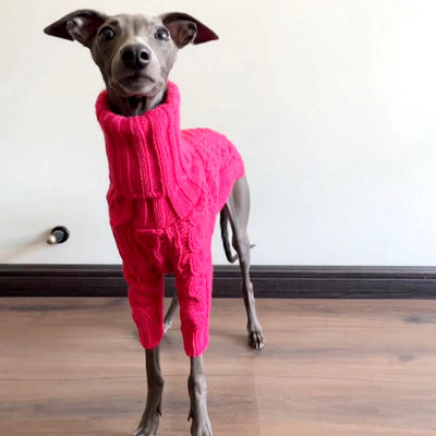 Pull Col Roulé Chaud pour Lévrier Italien Whippet