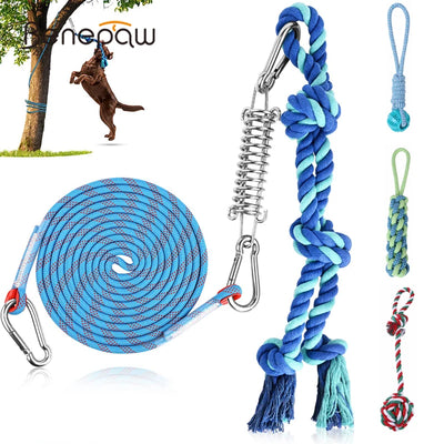 Spring Pole Chien Ressort Inox Corde 5 m ou 10 m