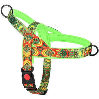 https://cdn.shopify.com/s/files/1/0489/2898/1148/files/S228638e87cfb46fcb84950db4191cd51M.webp?v=1742985765