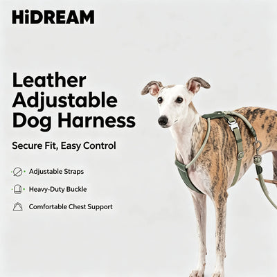 Harnais Corde Ronde Anti-Évasion Réglable pour Lévrier et Chien Moyen