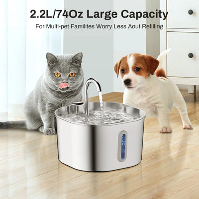 Fontaine à Eau Chien et Chat Inox 2,2 L Filtrée