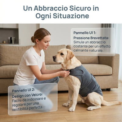 Vêtement Apaisant Anti-Anxiété Réglable Col Amovible Chien Voyage