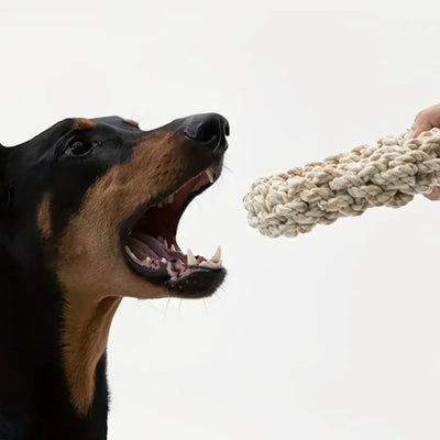 Jouet Corde pour Chien à Mâcher et à Tirer