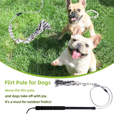 Flirt Pole pour Chien avec Perche et Corde en Coton