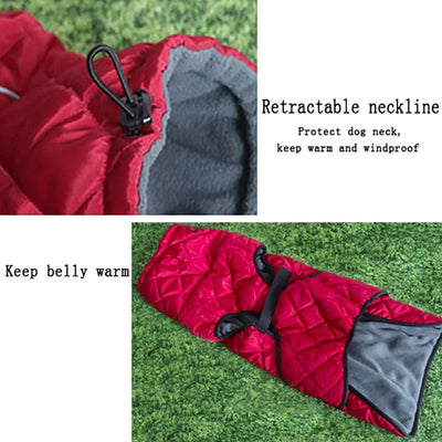 Manteau Imperméable Réfléchissant à Col Montant pour Chien