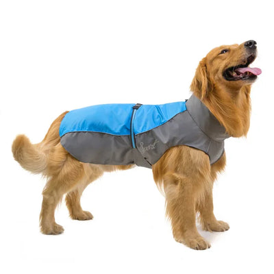 Manteau Imperméable Sport Bicolore Golden Retriever du S au 9XL