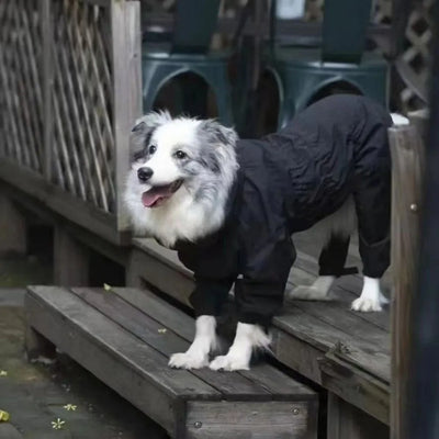 Manteau Imperméable 4 Pattes Réglable Grande Taille Chien