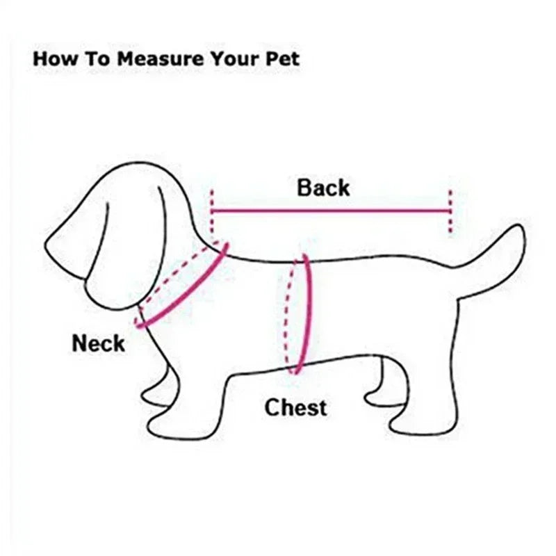 Manteau XXL Veste Hiver Très Gros Chien