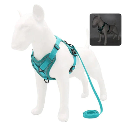 https://cdn.shopify.com/s/files/1/0489/2898/1148/files/S24f8e0ca023f41e885dcbd123a0ce2ee9.webp?v=1742913950