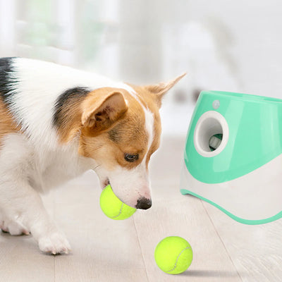 Lanceur de Balle Automatique Chien Rechargeable 3 Modes Menthe