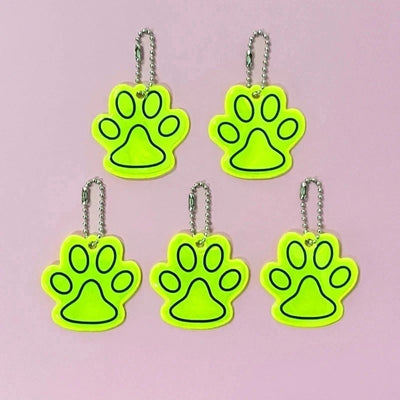 Laisse LED Corde Lumineuse pour Chien