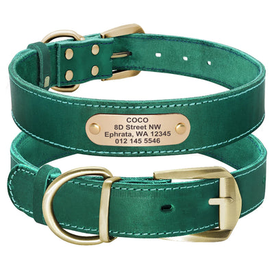 Collier Cuir Plaque d'Identification Gravée Chien Pitbull