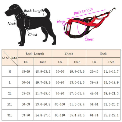 Harnais Canicross de Ski et Course pour Grand Chien