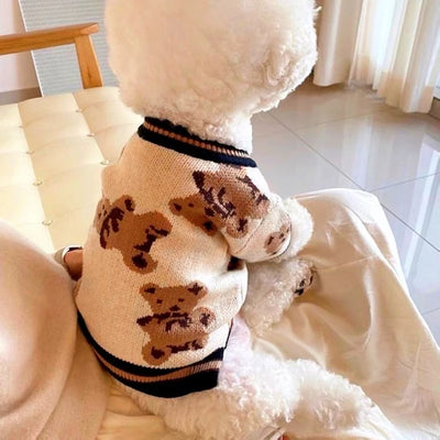 Pull Tricot Rayé pour Chien Col Montant