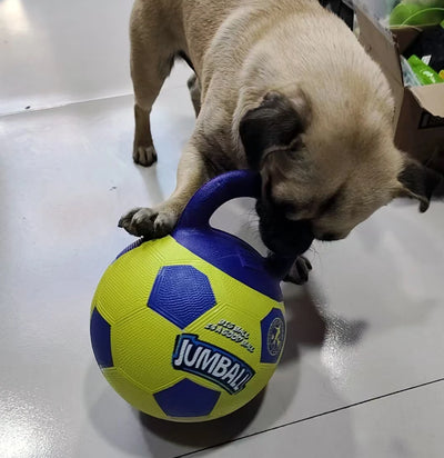 Balle Mordre Poignée Caoutchouc Gros Chien