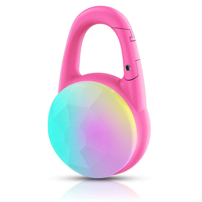 Lumière LED Rechargeable pour Collier de Chien