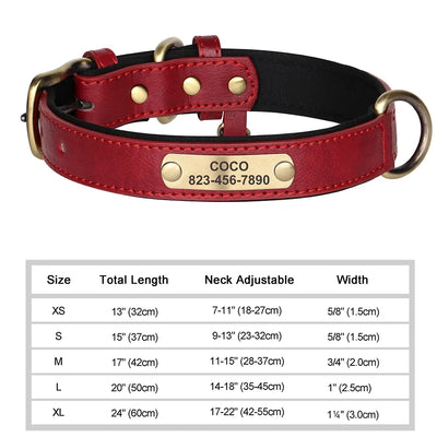 Collier Cuir Personnalisé Gravure Gros Chien