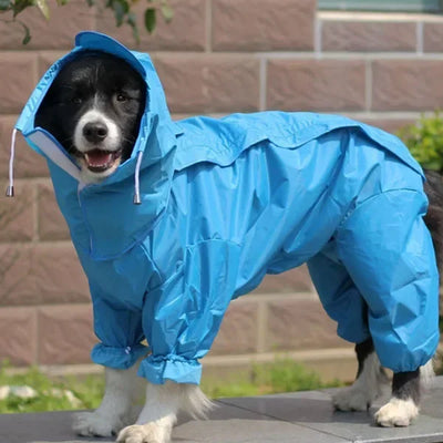 Manteau Imperméable à Capuche pour Grand Chien