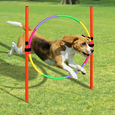 Kit d'Agility Cerceau de Saut Chien 55 cm Démontable