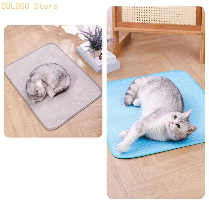 Tapis Rafraichissant Chien Base Latex Ete