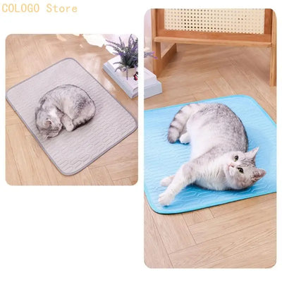 Tapis Rafraichissant Chien Base Latex Ete