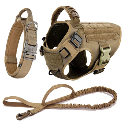 https://cdn.shopify.com/s/files/1/0923/9910/8483/files/S2749900c6ea64bad8dd3c3181a82fe22I.webp?v=1746124091