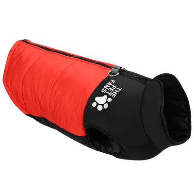 Manteau Imperméable Rembourré Grand Chien Golden Retriever