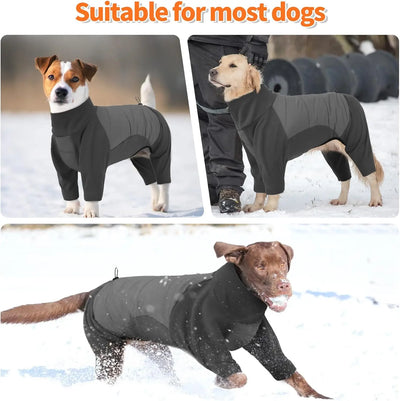 Manteau Intégral Coupe-Vent Chien Col Roulé