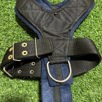 Harnais Multifonction Renforcé Pit Bull Musculation Traction