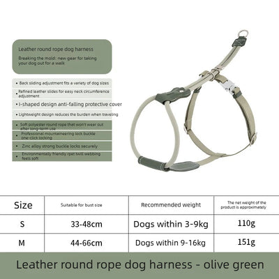 Harnais Corde Ronde Anti-Évasion Réglable pour Lévrier et Chien Moyen