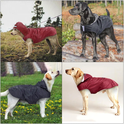 Poncho de Pluie Chien Visière Transparente Réfléchissant