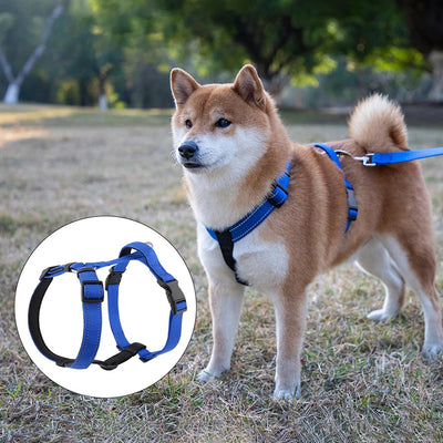 Harnais en H Réfléchissant Rembourré Nylon pour Husky