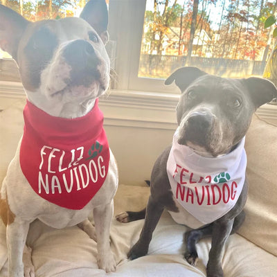 Bandana Feliz Navidog Premier Noël Chien