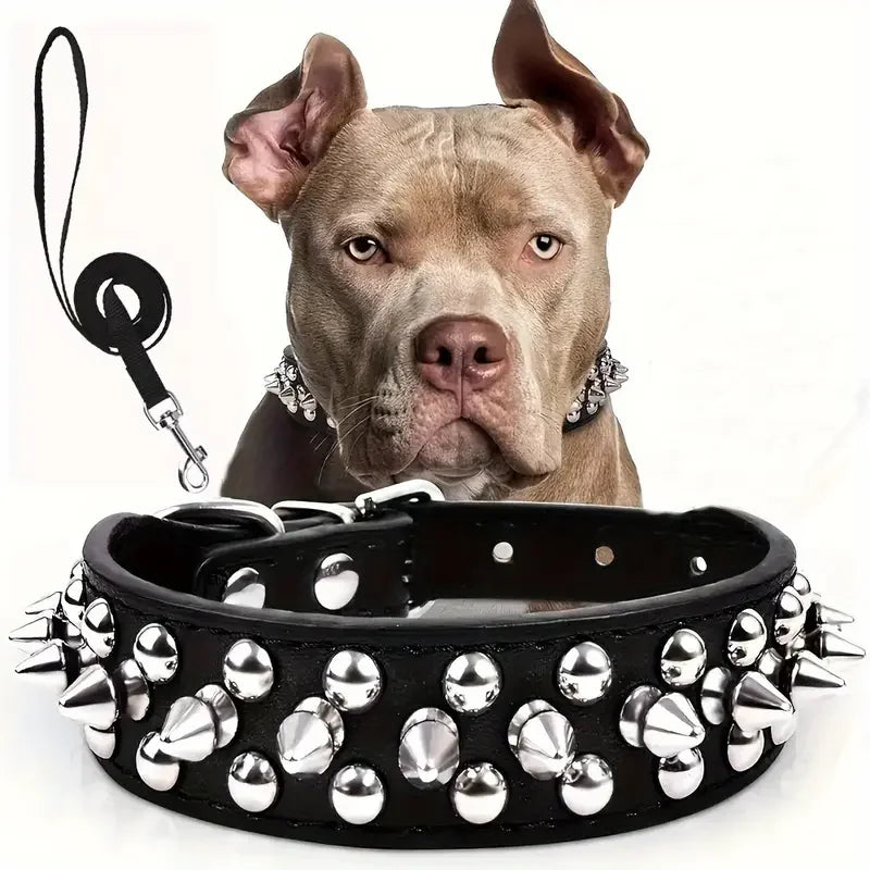 Collier Cuir Clouté Gros Chien Laisse