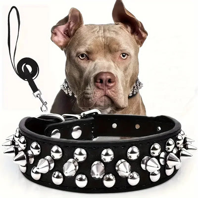 Collier Cuir Clouté Gros Chien Laisse