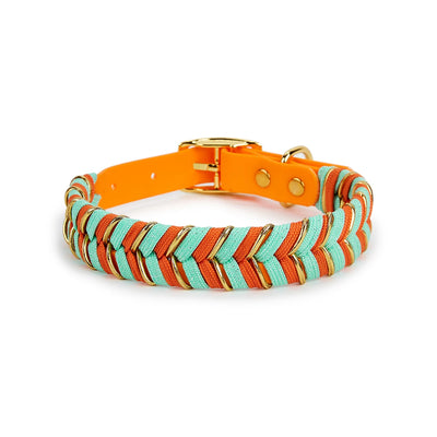 Collier Tressé Coloré Fait Main pour Grand Chien