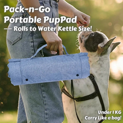 Panier de Voyage Portable Étanche Chien Intérieur Extérieur