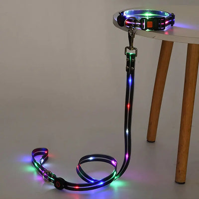 Collier et Laisse LED Lumineux pour Chien