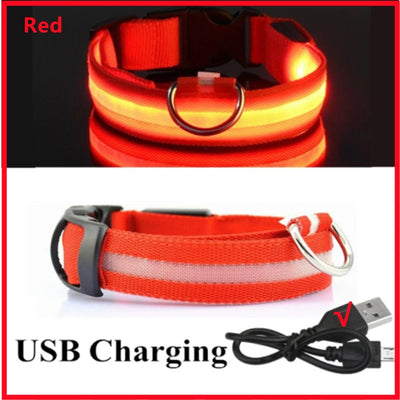 Collier Lumineux LED Rechargeable USB Nylon Grand Chien