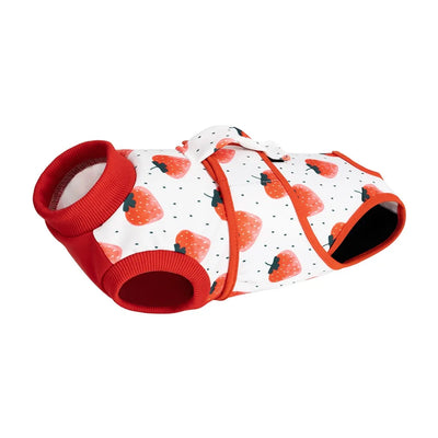 Combinaison de Stérilisation Chien Respirante Alternative Collerette