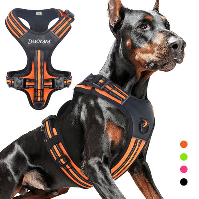 Harnais Robuste Pitbull Berger Labrador Gros Chien