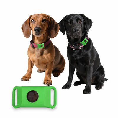https://cdn.shopify.com/s/files/1/0489/2898/1148/files/S2b44cfa2e08844abbdbc1b928d1b30f69.webp?v=1770111194