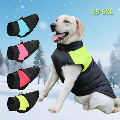 Manteau Hiver Chien Grande Taille Coupe-Vent Zippé