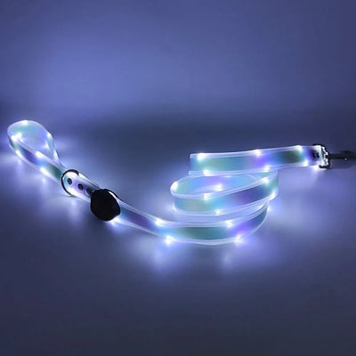 Collier et Laisse LED Lumineux pour Chien