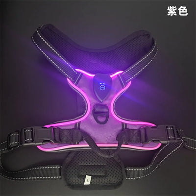 Harnais Lumineux LED Rechargeable Grand Chien