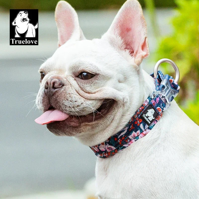 Collier Camouflage Coton Robuste Molosse