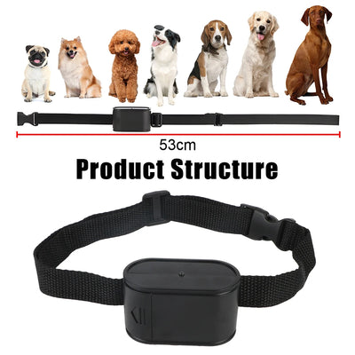 Clôture Électronique Filaire Enterrée pour Chien Fil 300 m