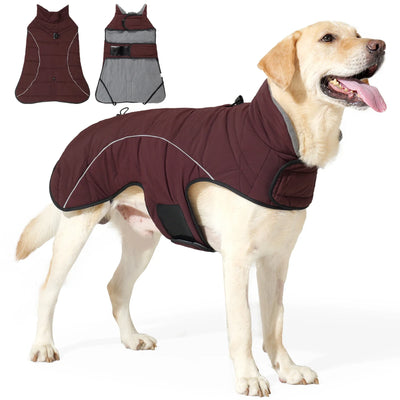 Manteau Imperméable Col Haut Labrador Réfléchissant Bordeaux