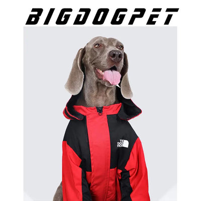 Manteau Imperméable à Capuche Zippé Gros Chien