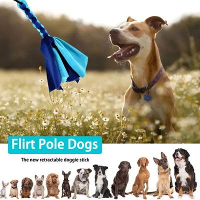 Flirt Pole Chien Perche Courte 68 cm Jouet en Polaire